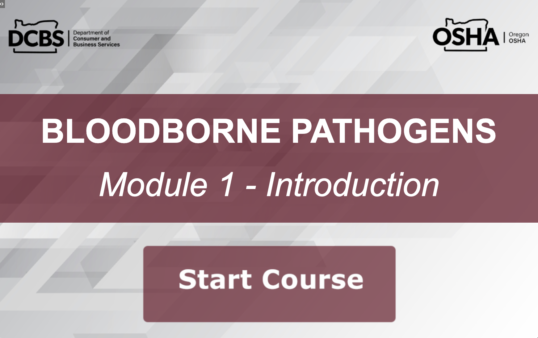 screen shot of online course
