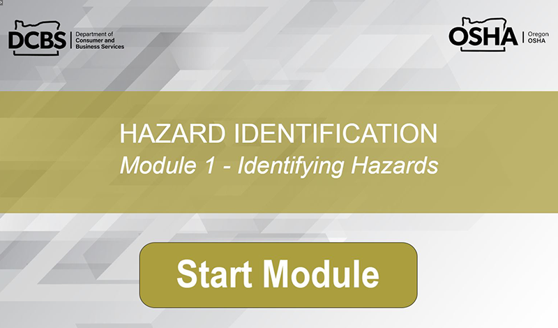 screen shot of online course