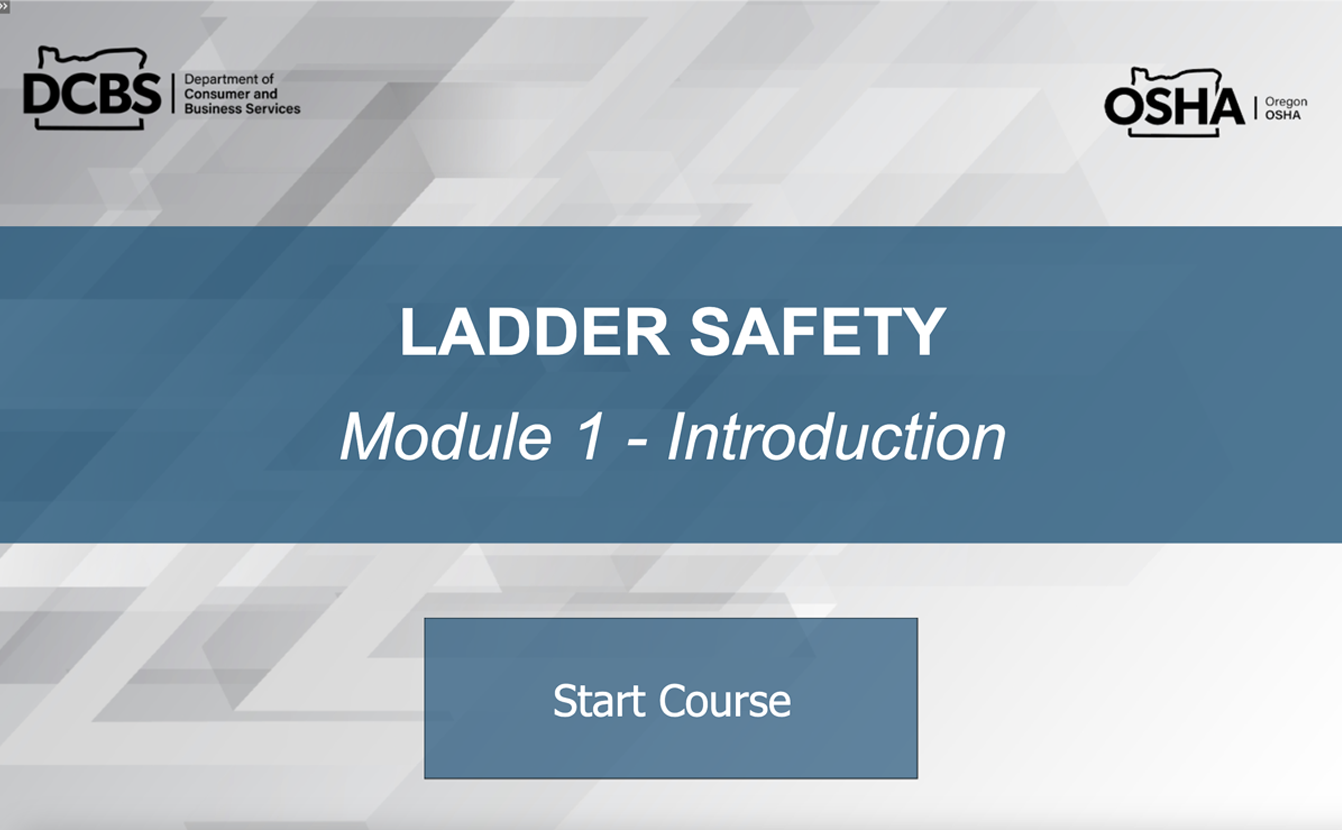 screen shot of online course