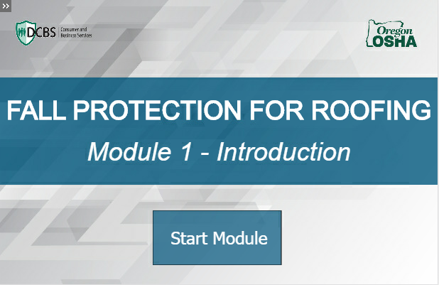 screen shot of online course