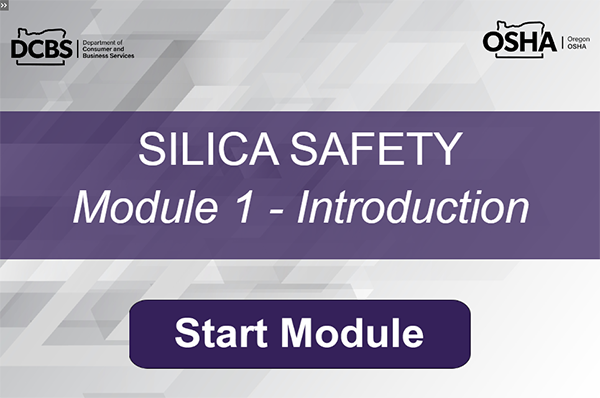 screen shot of online course