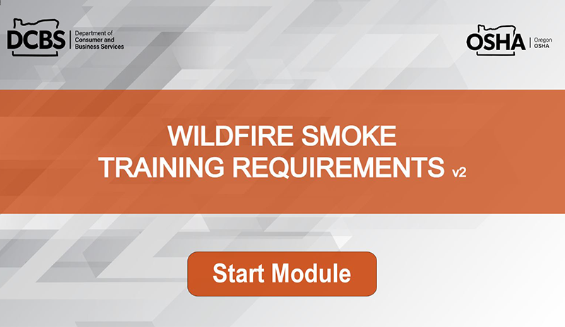 screen shot of online course