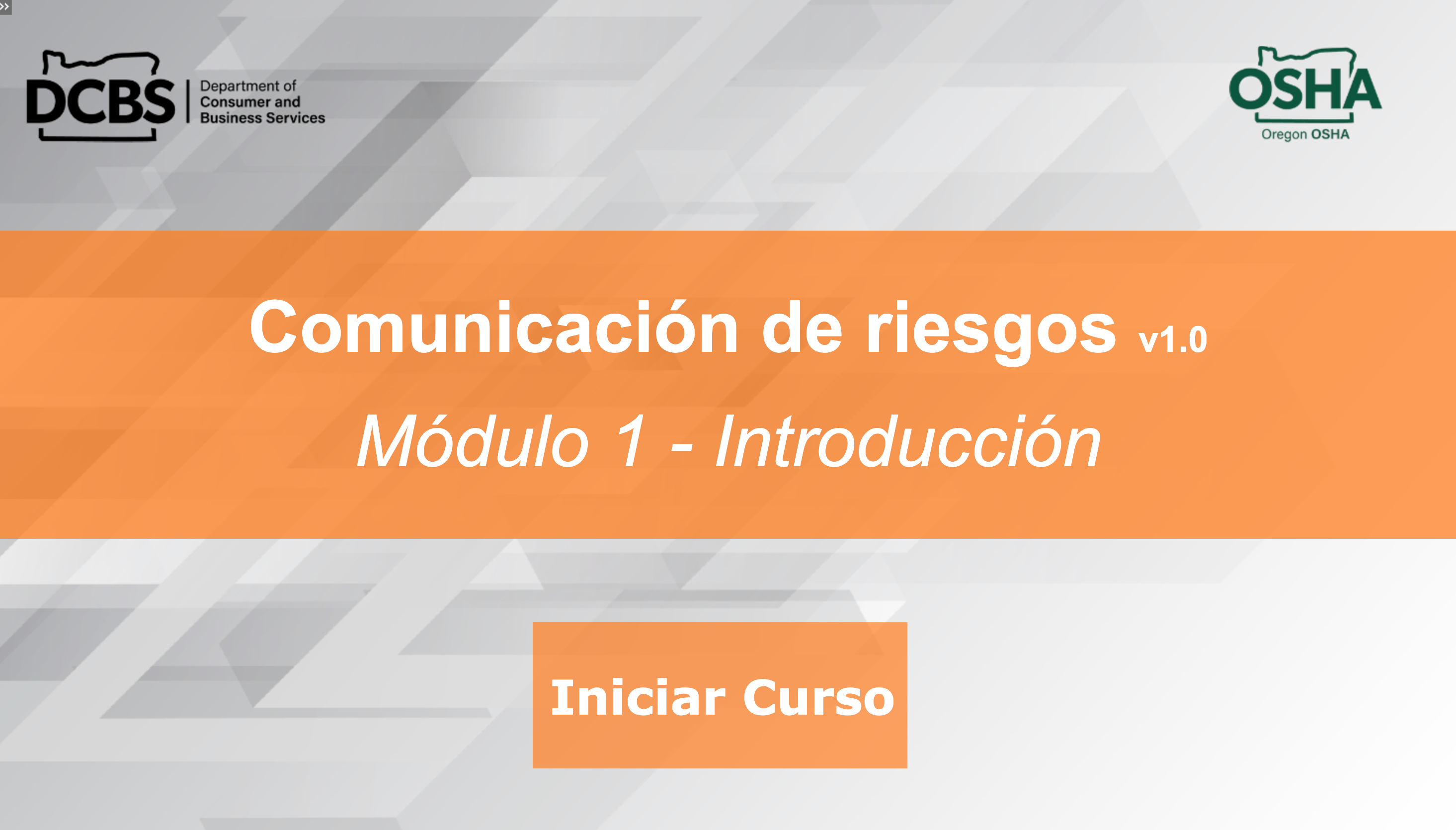 screen shot of online course
