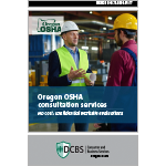 image of Consultation services flyer