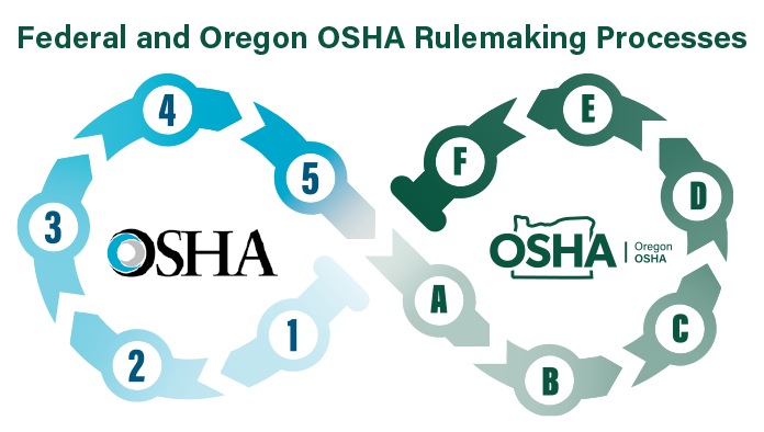 rule adoption process graphic